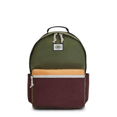 Plecaki Na Laptopa Kipling Damien Large Oliwkowe Bordowe | PL1322-IDD